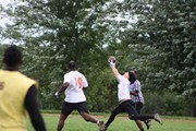 OTFL Gallery Image